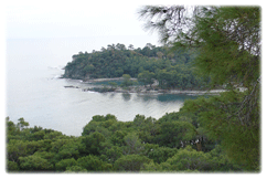 phaselis