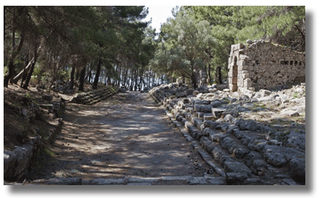 phaselis
