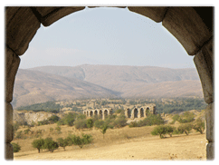 psidian_antioch